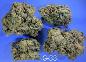 G-33 cannabis flower