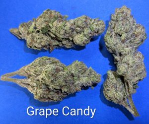 Grape Candy cannabis flower