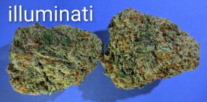 Illuminati cannabis flower