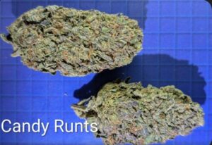 Candy Runts