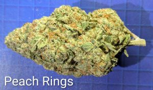 Peach Rings