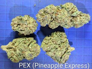 PEX (Pineapple Express)