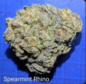 Spearmint Rhino