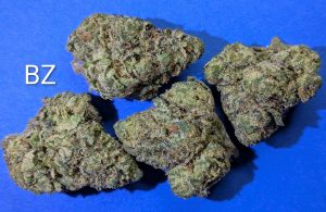 BZ Blue Diamond x Zkittlez cannabis flower