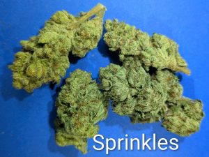 Sprinkles cannabis flower
