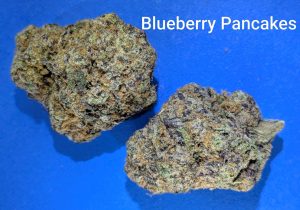 Blueberry Pancakes cannabis flower