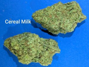 Cereal Milk cannabis flower