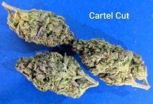 Cartel Cut cannabis flower