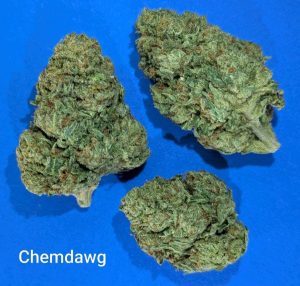 Chemdawg cannabis flower