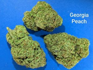 Georgia Peach cannabis flower