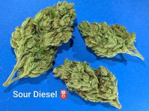 Sour Diesel cannabis flower