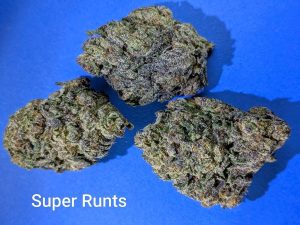 Super Runts cannabis flower